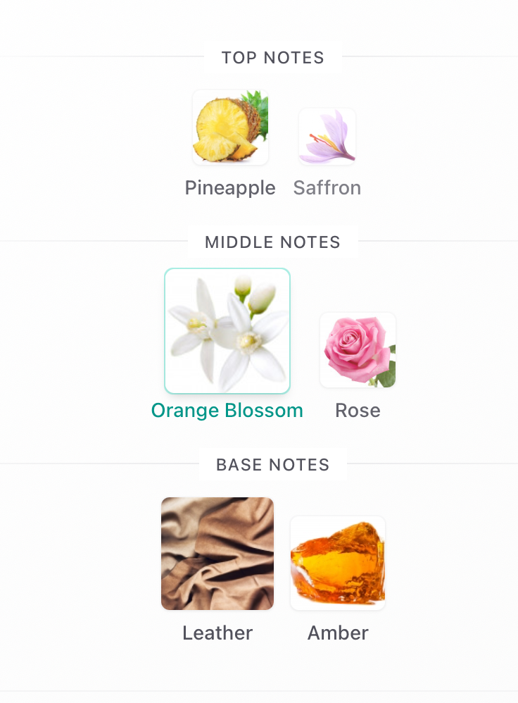 Emirates Pride Perfumes Midnight Bloom Decant Sample